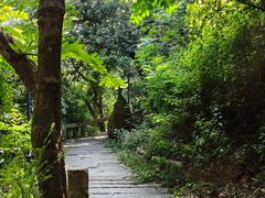 -草庵摩尼教遗址公园