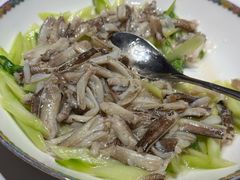 -新光酒家·河豚·海鲜·蟹料理(浦东店)