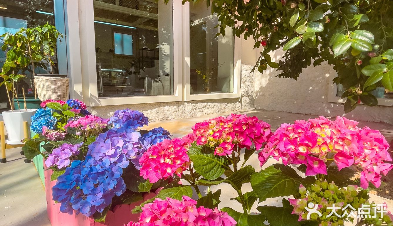 青岛崂山超小众咖啡店❗️真的有被美到呢