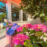 青岛崂山超小众咖啡店❗️真的有被美到呢