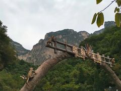 -云台山风景名胜区