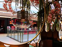 大堂-雀蓝川菜(奥体广场店)