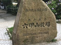 -神户市立六甲山牧场