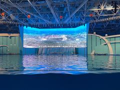 -海合安青岛极地海洋公园