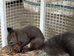 -南戴河国际娱乐中心