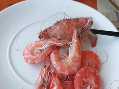 -视界美食自助餐厅·石家庄希尔顿酒店