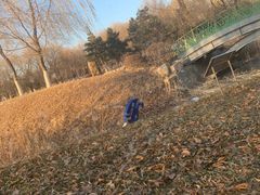 -莫子山公园