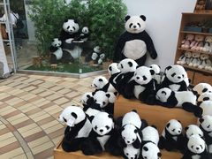 -济州岛泰迪熊博物馆