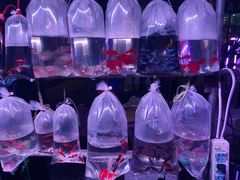 -华声天桥民俗文化园