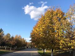 -长春世界雕塑园冰雪艺术天地