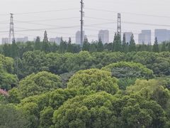 -昆山城市生态森林公园