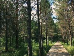 -塞罕坝国家级自然保护区