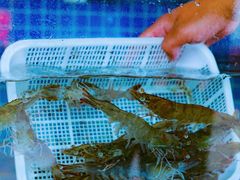 -常家活海鲜小吃(仅一家无分店)