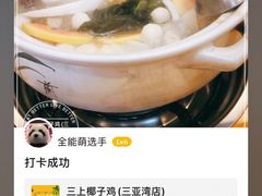 -三上椰子鸡(三亚湾店)