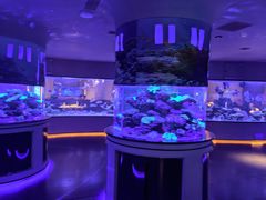 -上和臻品中国菜(花园街店)