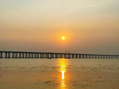 -宝安西湾红树林湿地公园