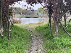 -上海都市菜园