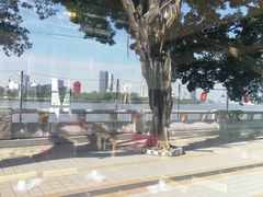 -仑头海鲜城(仑头环村南路店)