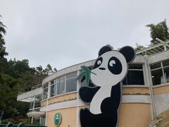 -石排湾郊野公园