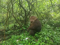 -西岭雪山大飞水景区