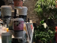 -茶理宜世(花城汇中区店)