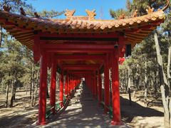 -乌素图国家森林公园