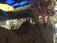 -淀里船宴(裕华东路店)