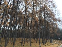 -硗碛藏寨·神木垒景区