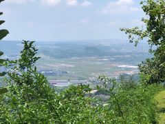 -铁山坪森林公园