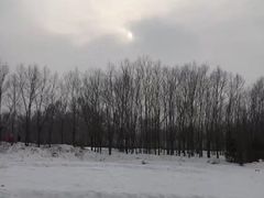 -亚布力新体委滑雪场