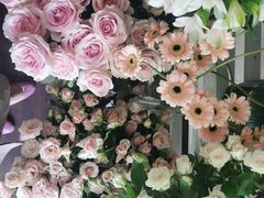 -SONGUOLIFE松果咖啡(七莘路店)