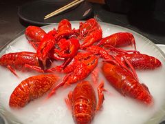 -红盔甲·小龙虾(人民广场店)