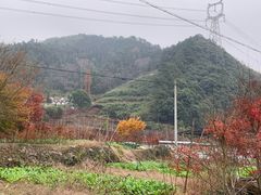 -鹿亭中村