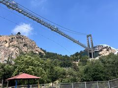 -西霞口神雕山野生动物世界