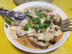 -煲来饱去冷水鱼