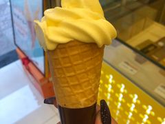 -金顺昌桂林桂花伴手礼(正阳一店)