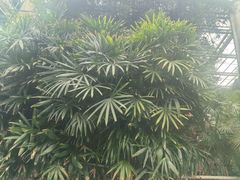 -龙达温泉生态城