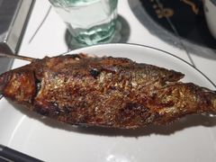 -高鸽子锦州烧烤63年(海阳路店)