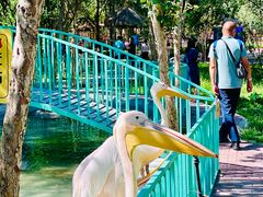 -水上乐园·欢乐世界