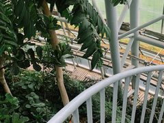 -郑州植物园