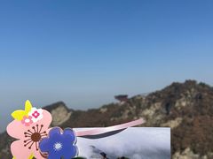 -少华山国家森林公园