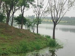 -东郊湿地公园