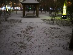 -黑龙江大学