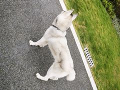 -府河摄影公园
