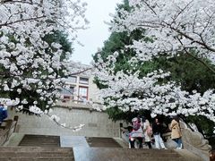-武汉大学-樱园