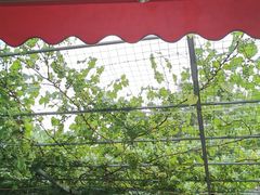 -伊隆斋(什刹海店)