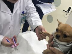 -佳雯宠物医院(金华南路分院)