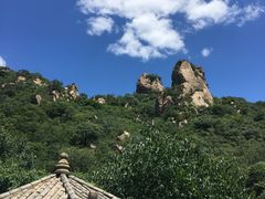 -大岭沟猕猴桃谷风景区