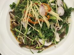 芫茜葱捞起黑柏叶-万年酒楼(越秀南路店)