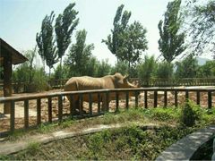 -石家庄市动物园
